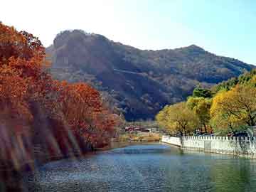 管家婆黑白马报图库，蜘蛛池